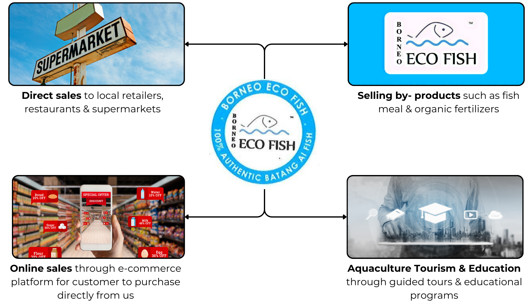 revenue model N.png