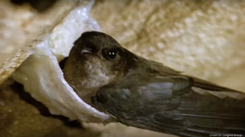 Spit Happens… and It’s Worth Billions