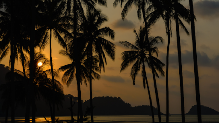 Eco-Tourism Unplugged