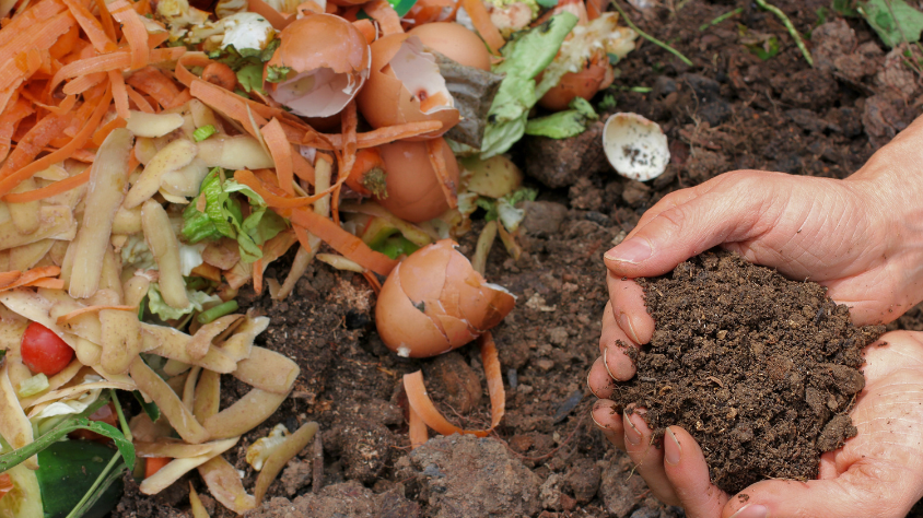 Turning Trash into Treasure